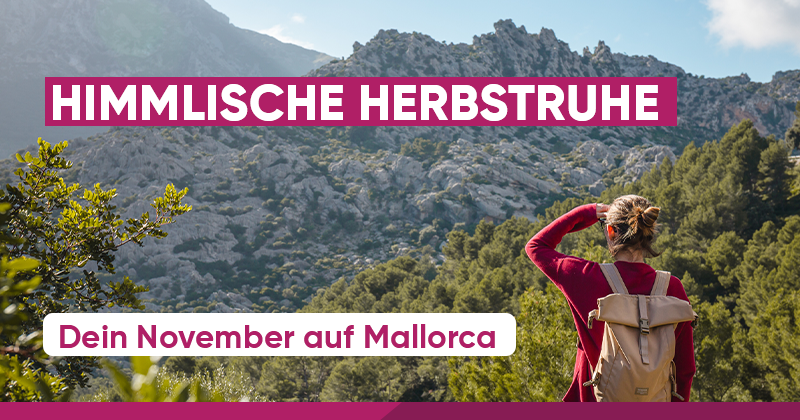 Banner_Eurowings_Holidays