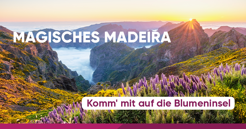 Banner_Eurowings_Holidays