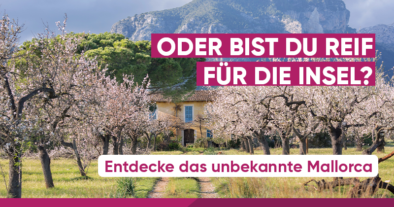 Banner_Eurowings_Holidays